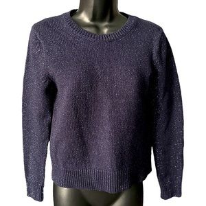 GAP Silver Sparkle Navy Crew Neck Sweater